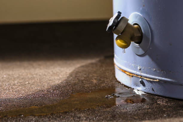 Best Flooded house restoration  in Ruidoso Downs, NM