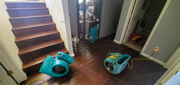 Best Basement water damage restoration  in Ruidoso Downs, NM