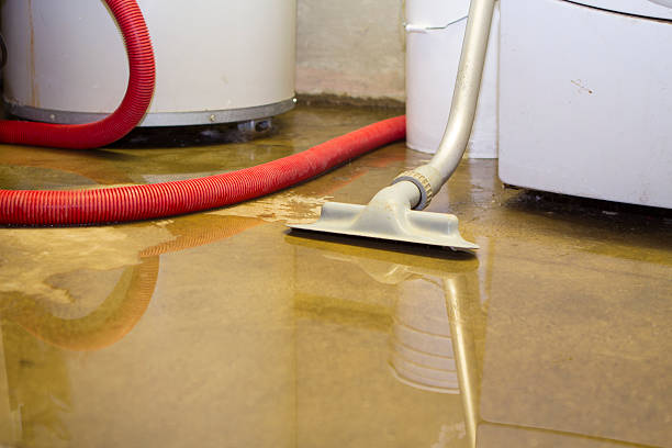 Best Water damage cleanup near me  in Ruidoso Downs, NM