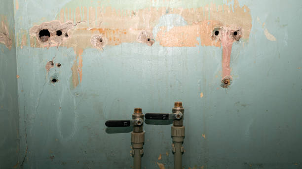 Best Fire Damage Restoration  in Ruidoso Downs, NM